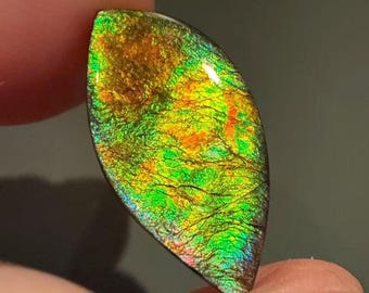 Natural Canadian Ammolite Loose Gemstone for Jewelry Making 9.5ct