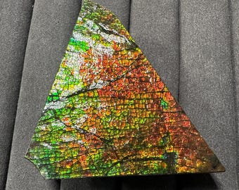 May include: A triangular-shaped gemstone with a vibrant display of colors. The stone features a mosaic-like pattern with shades of green, red, orange, and yellow. The surface has a cracked, textured appearance, and the edges are dark.