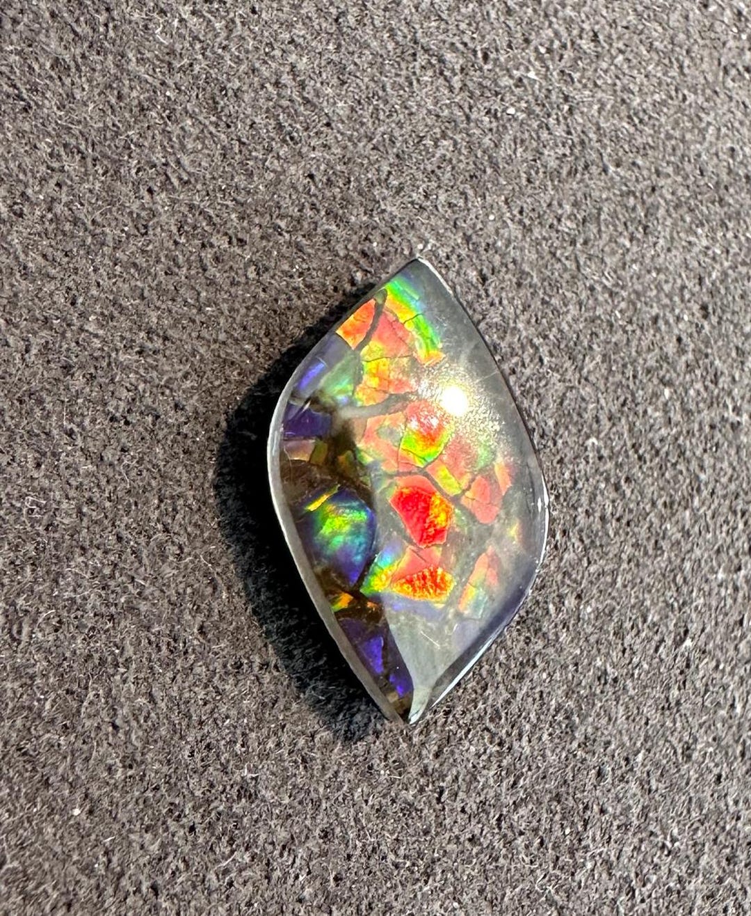 リーフアンモライトルースストーン：希少な有機宝石（13 x 8 mm