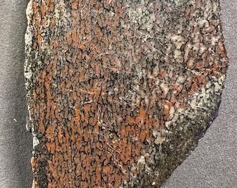 May include: A close-up of a piece of fossilized wood with a unique pattern of black and orange veins. The wood has a rough, textured surface.