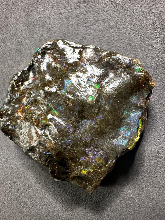 カナダ産アンモライト標本：両面虹色化石宝石 - Etsy 日本
