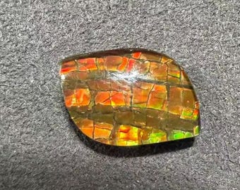 Natural Canadian Ammolite Gemstone Iridescent Leaf Shape For Jewelry Making (13x8mm)