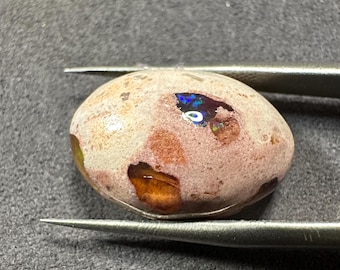 Natural Fire Opal | Hand-Polished Freeform Gemstones from Mexico | Collector’s Oval Cut