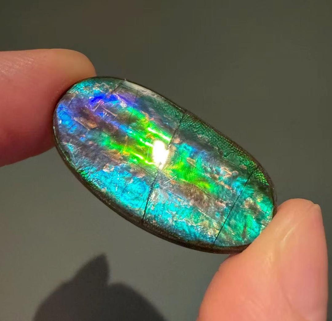 17.5ct Canadian Ammolite Loose Gemstone Gold, Blue, Green Iridescence ...