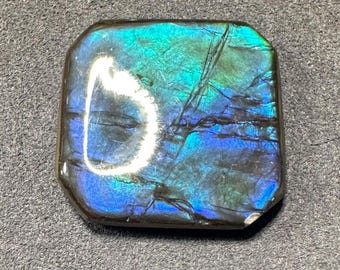 26ct Natural Canadian FreeForm Ammolite Loose Gemstone Aurora Colors For Jewelry Making