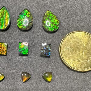 Natural Canadian Ammolite Gemstone – Triplet Ammolite for Jewelry Making