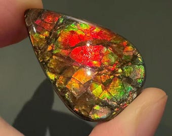37ct Canadian Ammolite Gemstone Rainbow Colour Pear Shape Floral Pattern For Jewelry Making