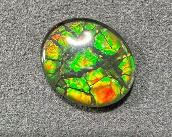 Natural Canadian Ammolite Gemstone Oval Multicolor For Jewelry Making (12 x 10mm)