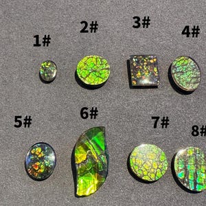 Canadian Ammolite Gemstone Set: Natural Feng Shui Energy Stones