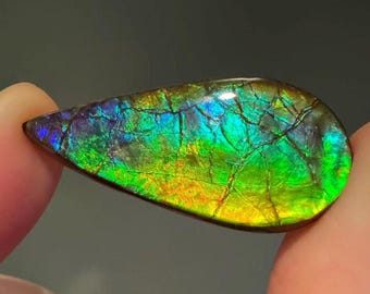 21CT Canadian Ammolite Gemstone Pear Shape Rainbow Colour For Jewelry Making