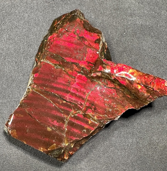 カナダ産アンモライト宝石 | 虹色に輝くアンモナイト化石標本 - Etsy 日本