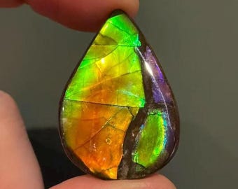 Canadian Ammolite Gemstone 22.5CT Pear Shaped Rainbow Colour For Jewelry Making