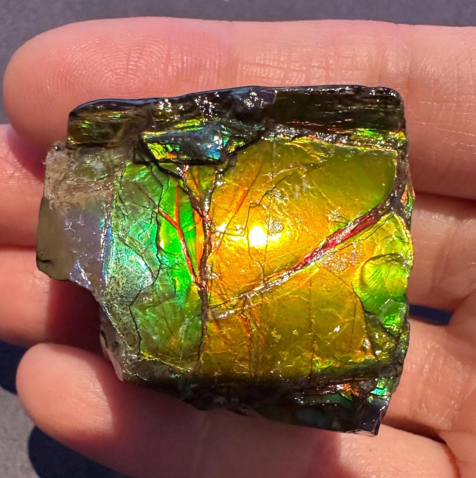 カナダ産アンモライト標本：宝石用虹色化石 - Etsy 日本