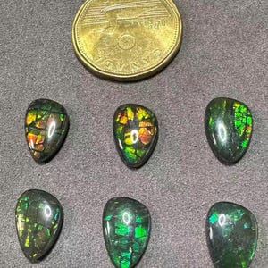 Natural Canadian Ammolite Gemstone – Triplet Ammolite 15X10MM for Jewelry Making