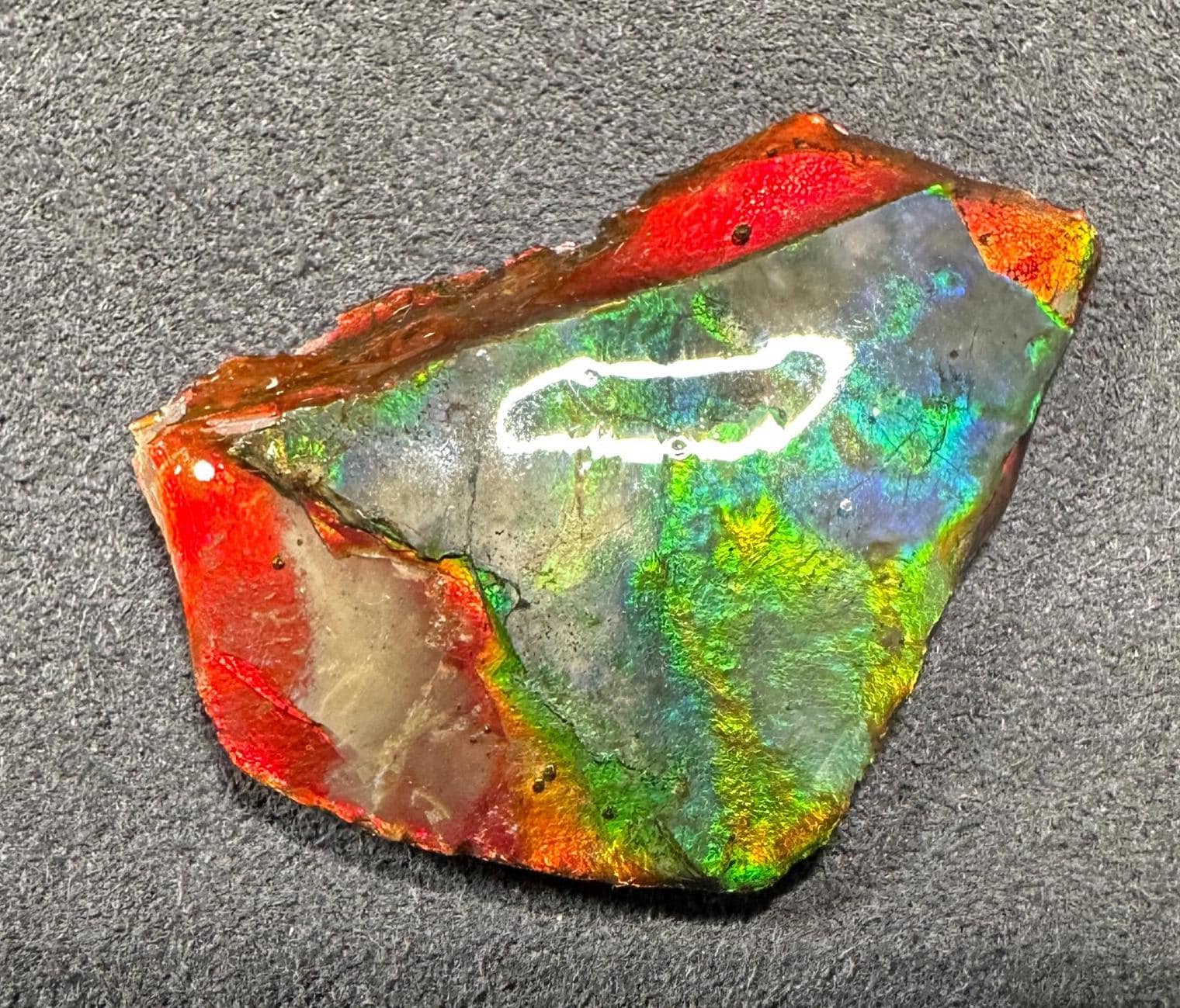 カナダ産アンモライト宝石標本：コレクター向けの希少な虹色の