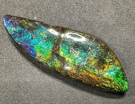 カナダ産アンモライト宝石 | 虹色に輝くアンモナイト化石標本 - Etsy 日本