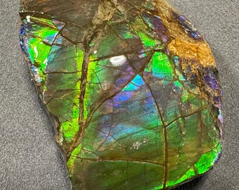 May include: A large, iridescent piece of ammolite with a green, blue, and purple sheen. The ammolite has a rough, natural surface and is a beautiful example of this rare gemstone.