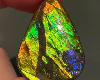 Canadian Ammolite 28ct Freeform Gemstone  Rainbow Colour For Jewelry Making