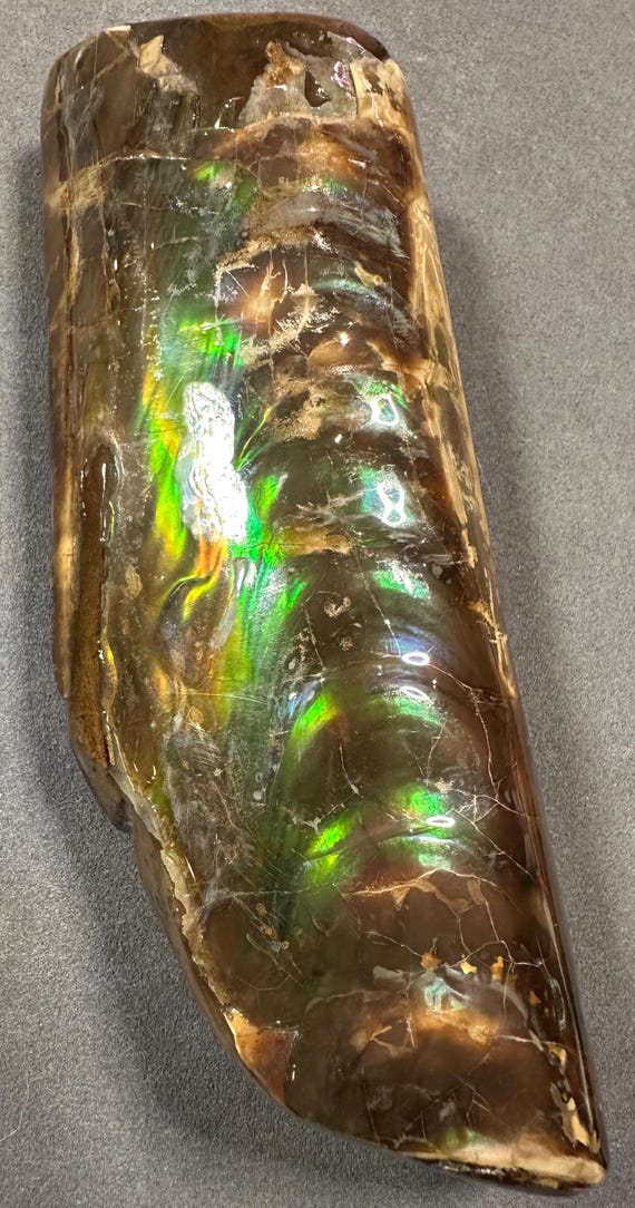 虹色バキュライト化石カナダ産アンモナイト宝石ホームデコレーション