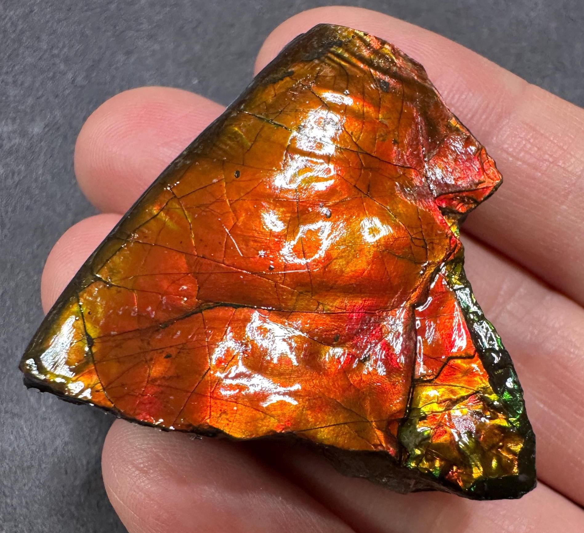 激レア！第23回日本放射線技術学会総会　1967　岐阜　記念品　非売品 特報！】 7月26日 (土)大田区総合体育館のサブアリーナ内にて