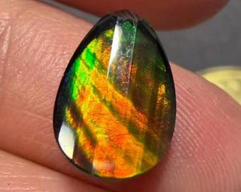 Natural Canadian Ammolite Gemstone Pear Shape(12x8mm) For Jewelry Making