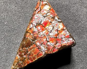 カナダ産アンモライト標本：ジュエリー用の希少な有機宝石化石 - Etsy 日本