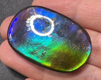 44.5ct Natural Canadian Ammolite Oval Shape Loose Gemstone Aurora Colors For Jewelry Making