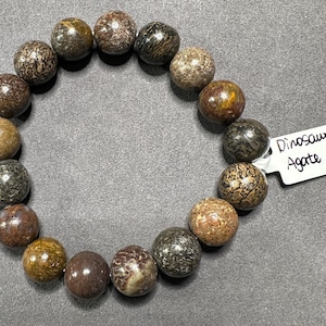 Puede incluir: Un brazalete de ágata de hueso de dinosaurio marrón, negro y gris con 14 cuentas. El brazalete tiene una etiqueta que dice "Dinosaur Bone Agate #1".