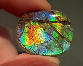 Pendentif en ammolite canadienne naturelle de 12,5 mm aux reflets irisés arc-en-ciel