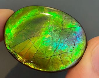 27CT Natural Canadian Ammolite Gemstone For Jewelry Making