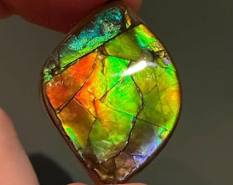 25.5ct Rainbow Color Canadian Ammolite Freeform Gemstone For Jewelry Making