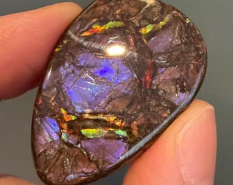 40.5ct Natural Canadian Ammolite Loose Gemstone –Pear Shape Blue-Violet Hues For Pendant Making