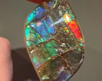 30ct Canadian  Floral Pattern Ammolite Loose Gemstone