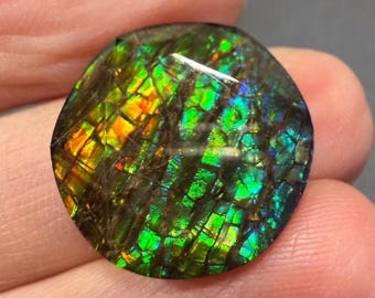Peut inclure: Une pierre précieuse ronde et irisée, présentant un motif de mosaïque aux teintes vertes, orange et bleues. La pierre a une matrice brun foncé et une surface polie, révélant un jeu de lumière et de couleurs.