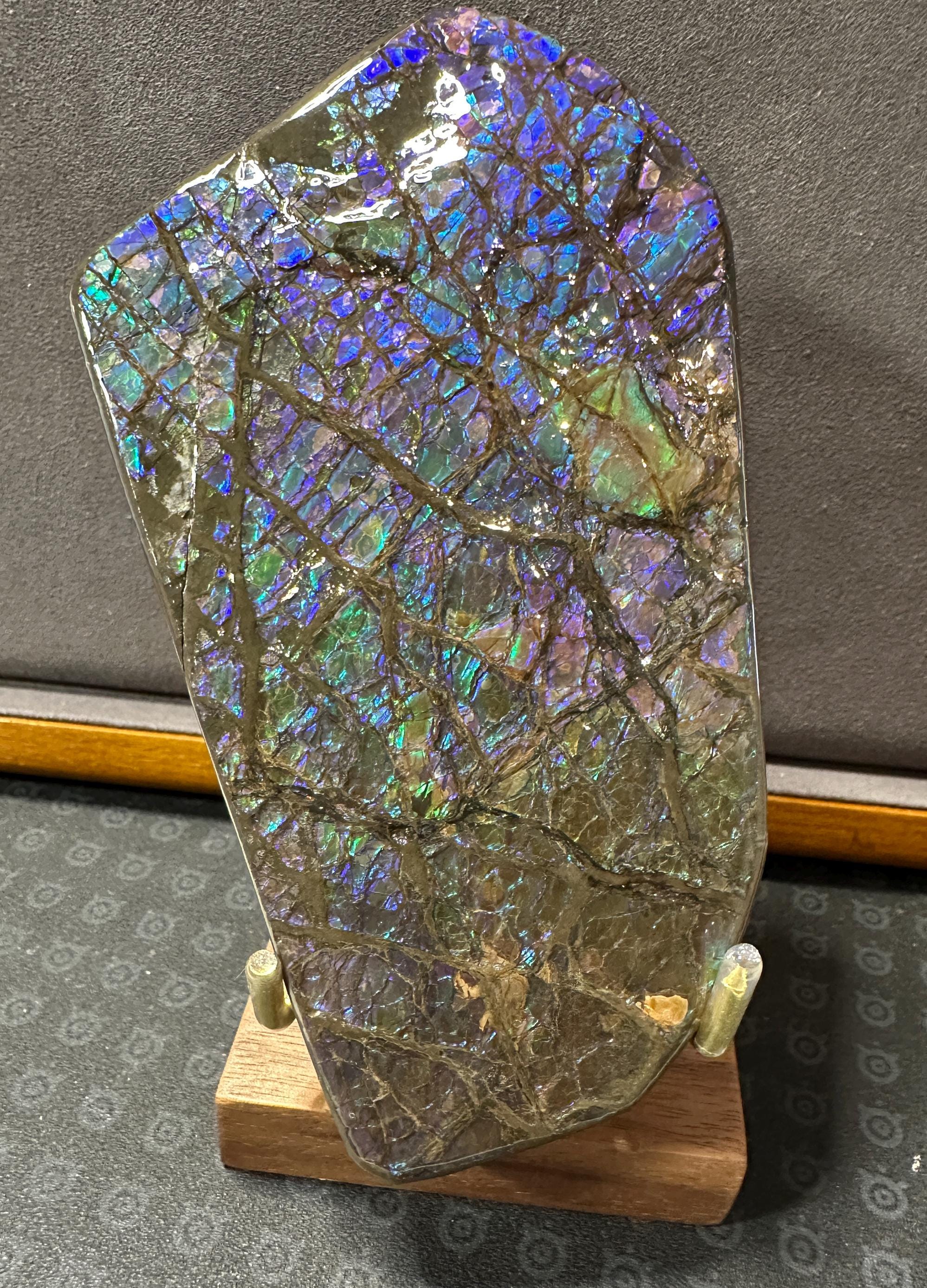 天然カナダ産アンモライト宝石 鮮やかなアンモナイト化石の手標本