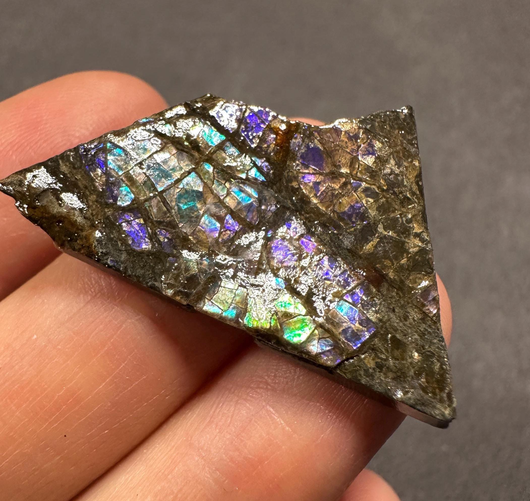 カナダ アンモライト 宝石標本 天然カナダ産アンモライト標本 / 高品質希少アンモライト化石