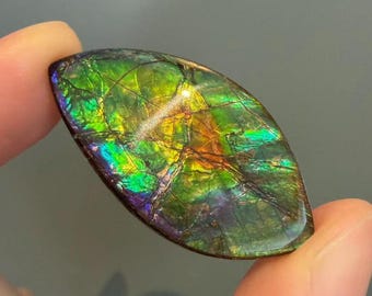 カナダ産アンモライト標本：ペンダント用天然化石宝石 - Etsy 日本