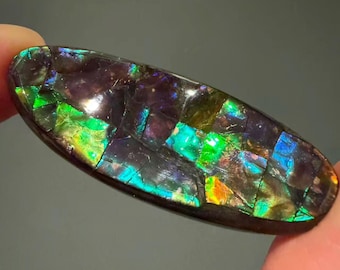 35CT Canadian Ammolite Freeform Gemstone Iridescent Color For Jewelry Making
