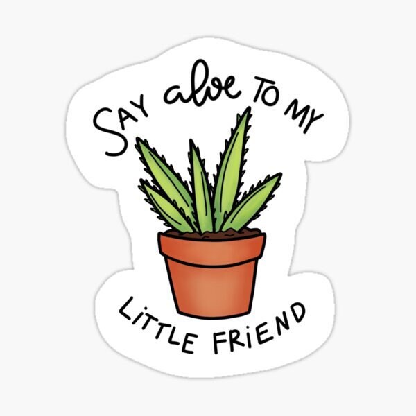 Die Cut Vinyl Sticker Plant Aloe Vera Planner Funny Meme Water Bottle - Etsy