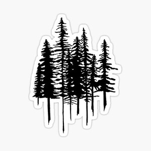 May include: Black silhouette of a group of pine trees against a white background.
