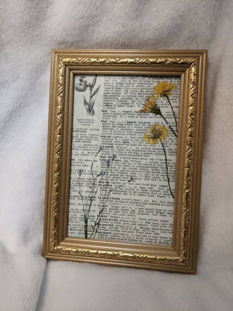 Upcycled Vintage Pressed Dried Flowers