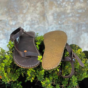 May include: A pair of brown leather sandals with a simple design. The sandals have a single strap that goes around the ankle and a toe strap. The sandals are sitting on a bed of green leaves.