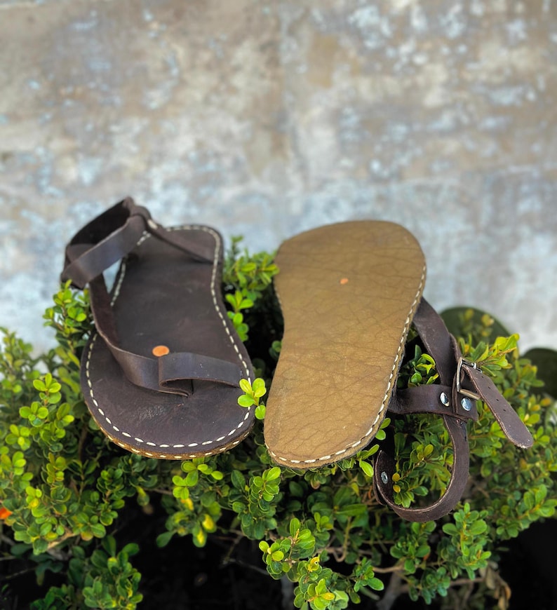 May include: A pair of brown leather sandals with a simple design. The sandals have a single strap that goes around the ankle and a toe strap. The sandals are sitting on a bed of green leaves.