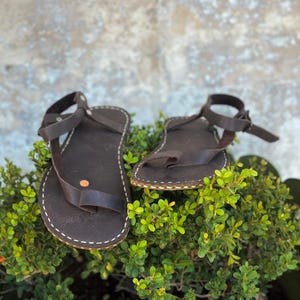 May include: A pair of brown leather sandals with a strap across the ankle and a toe loop. The sandals are sitting on top of a green bush.