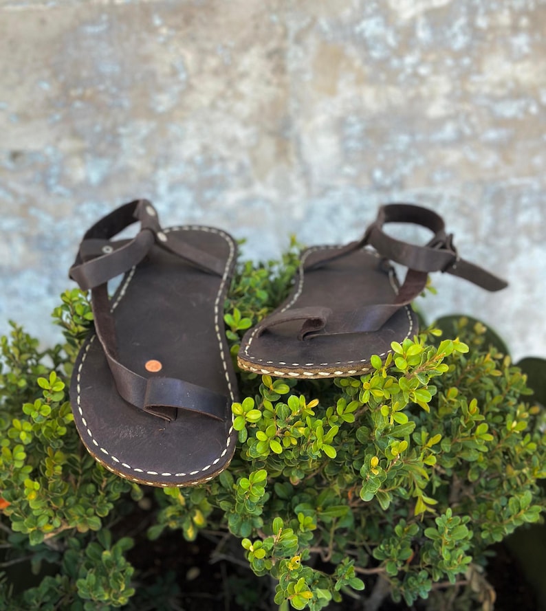May include: A pair of brown leather sandals with a strap across the ankle and a toe loop. The sandals are sitting on top of a green bush.