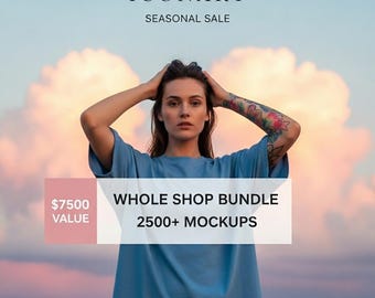 Ensemble de maquette de la boutique ENTIÈRE, Lot de la boutique entière, pass boutique avec accès complet, lot de toiles Bella, lot Gildan, couleurs confortables, maquette du pass de la boutique