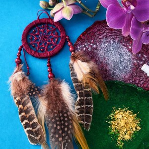May include: A burgundy dreamcatcher with brown and tan feathers hangs against a blue background. Purple orchid flowers and a green and burgundy decorative plate are also in the image. The dreamcatcher has red beads.