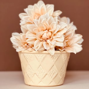 May include: A cream-colored ceramic pot with a diamond pattern holds several peach-colored dahlia flowers. The flowers have multiple layers of petals and are clustered together. The background is a solid brown.