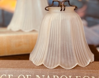 Vintage Frosted Glass Petal Lamp Shade - ONE
