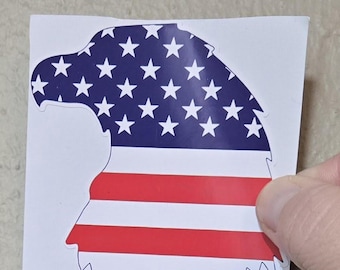 127 - Eagle Flag Sticker